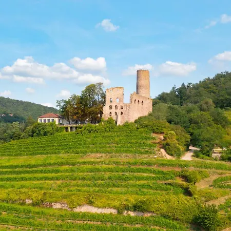 150qm Lofthaus In Bei Heidelberg Апартаменты